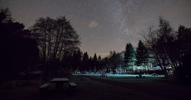 a starry night at Hamsterley Forest Dark Sky Discovery Site. 